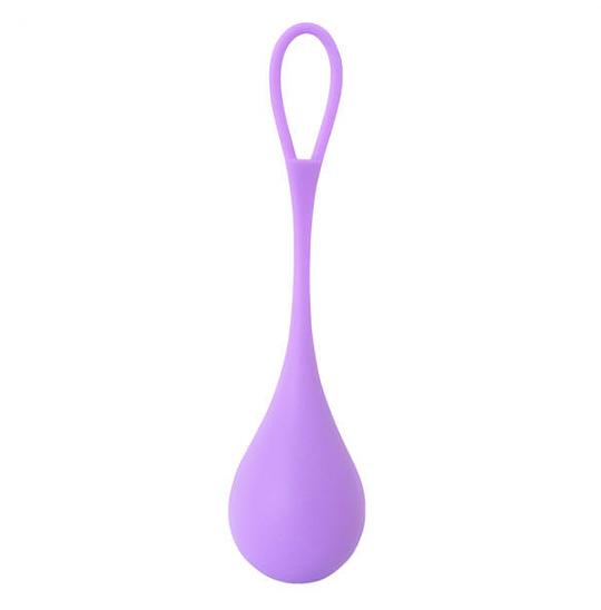 Шарики вагинальные Layla Tulipano Kegel Balls Purple цвет фиолетовый